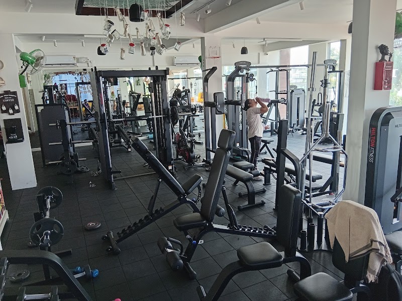 Benches and free weights